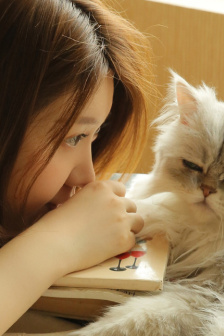 图1